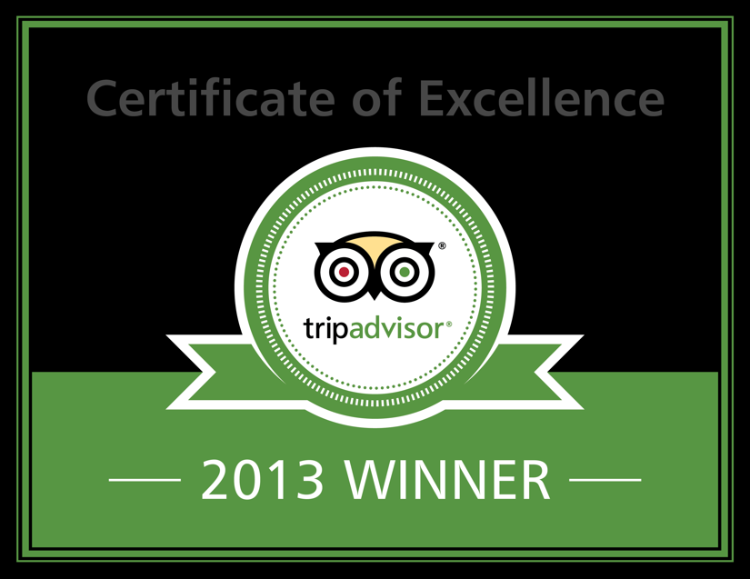 Excellence-Badge 2013